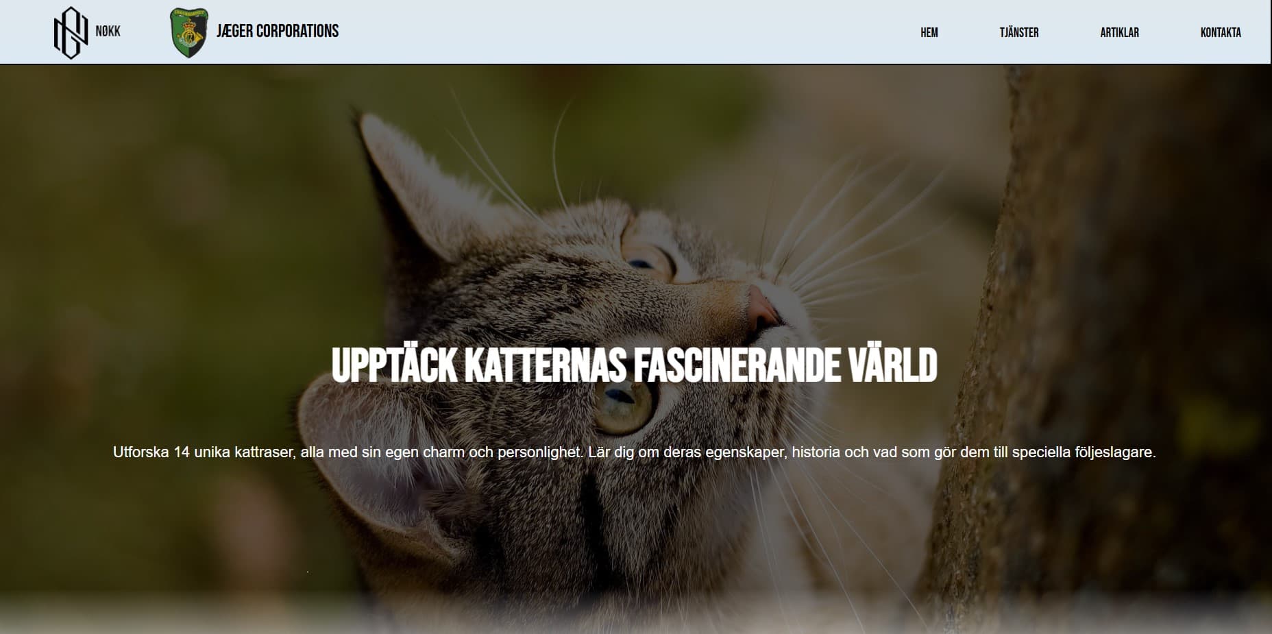 Website home page of cats races