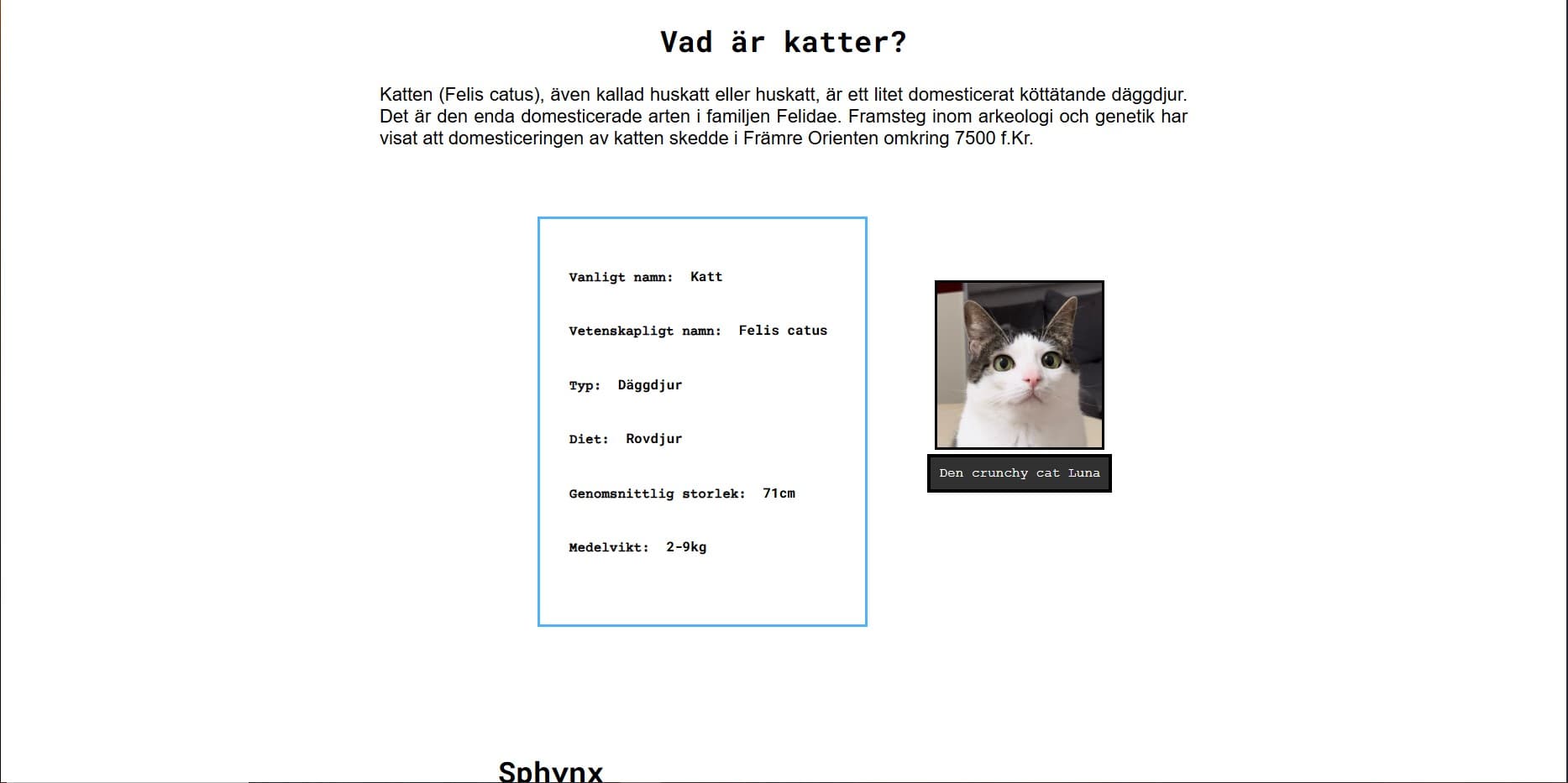 Article on cats races