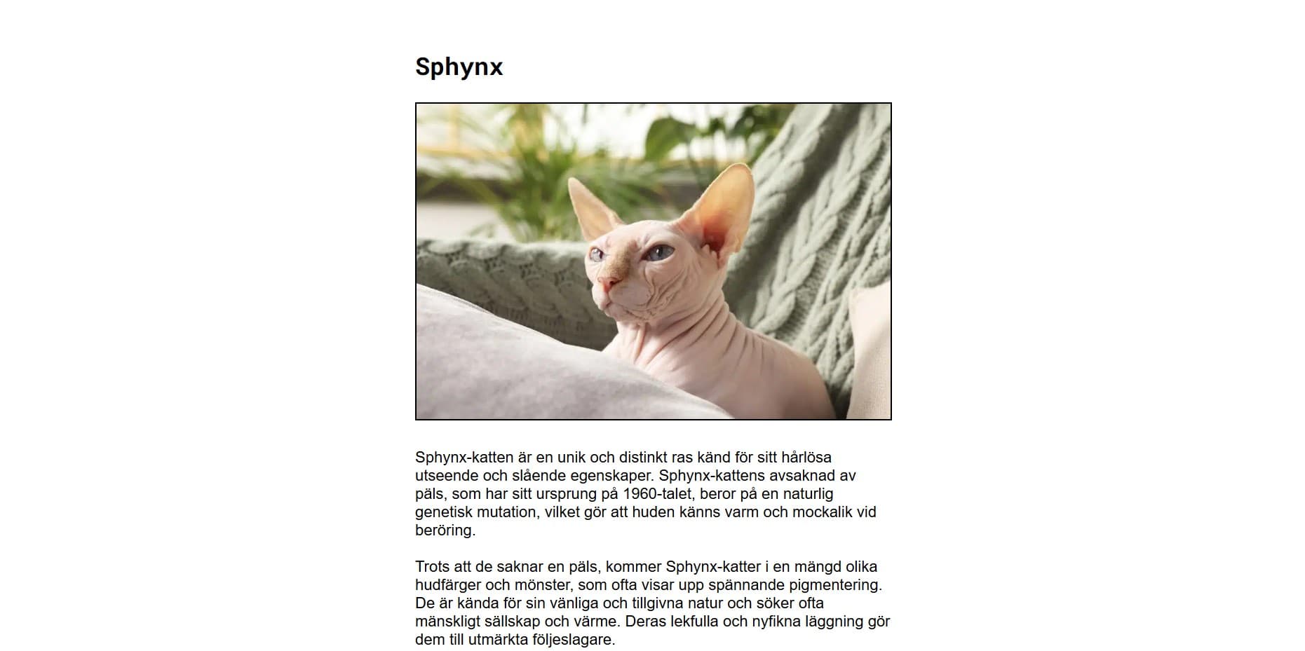 Article on cats races